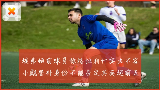 埃弗顿前球员称格拉利什实力不容小觑替补身份不能否定其英超前五地位