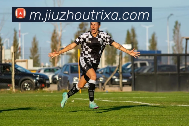 九州体育平台生态图